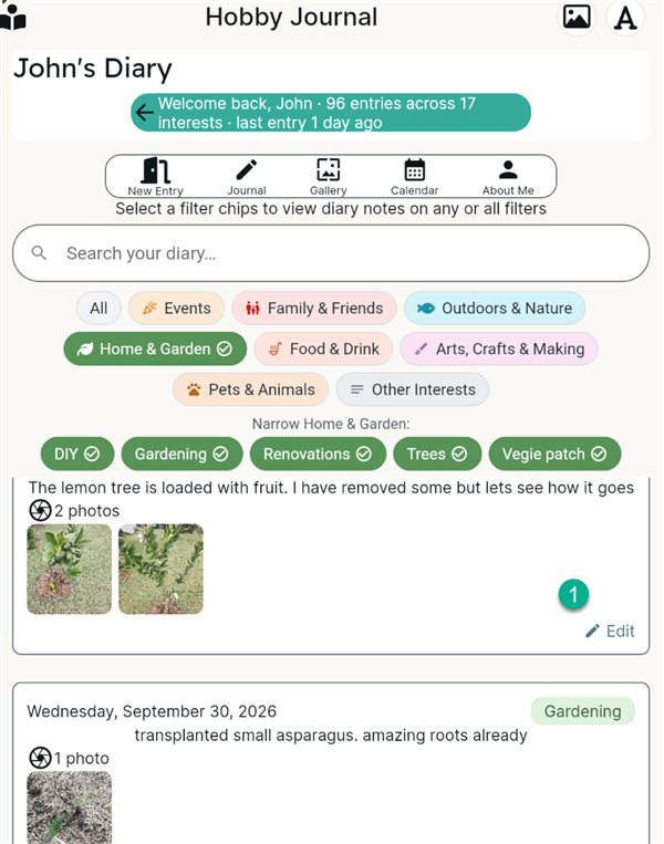 A Journal entry with the Edit label at the bottom right