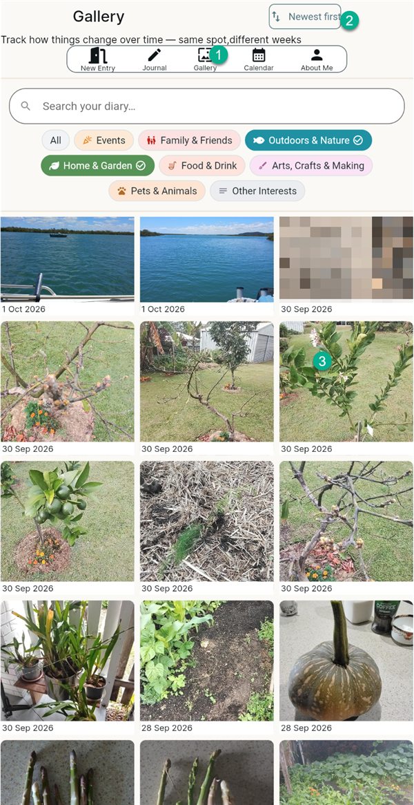 The Gallery: a grid of photos with dates, colour buttons and Newest first